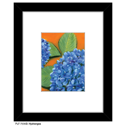 Hydrangea, Print (#7036B)