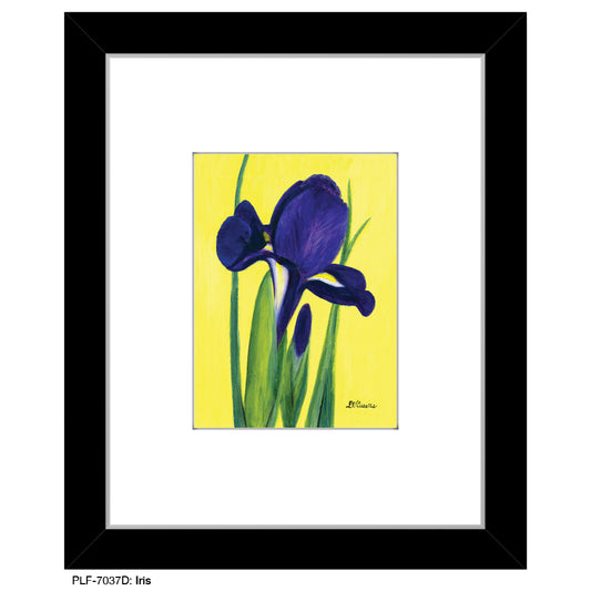 Iris, Print (#7037A)