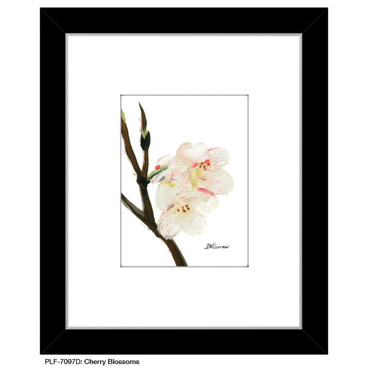 Cherry Blossoms, Print (#7097D) - Printed Canvas