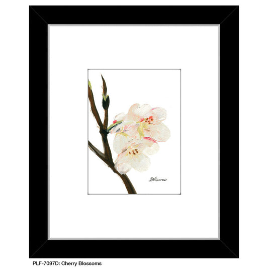 Cherry Blossoms, Print (#7097D), Print Matted, www.printedcanvas.com