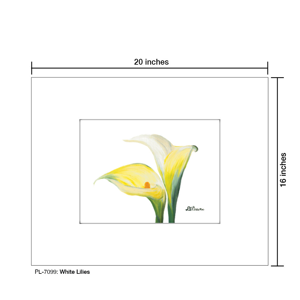 White Lilies, Print (#7099)