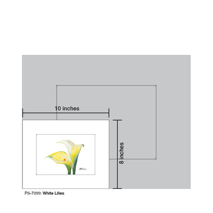 White Lilies, Print (#7099)