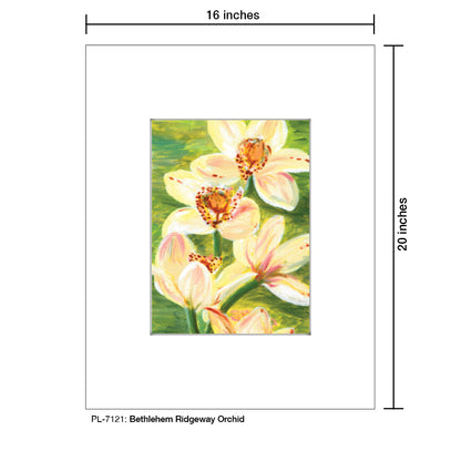 Bethlehem Ridgeway Orchid, Print (#7121)