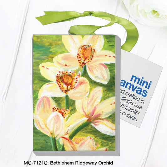 Bethlehem Ridgeway Orchid, Mini Canvas (MC-7121C)