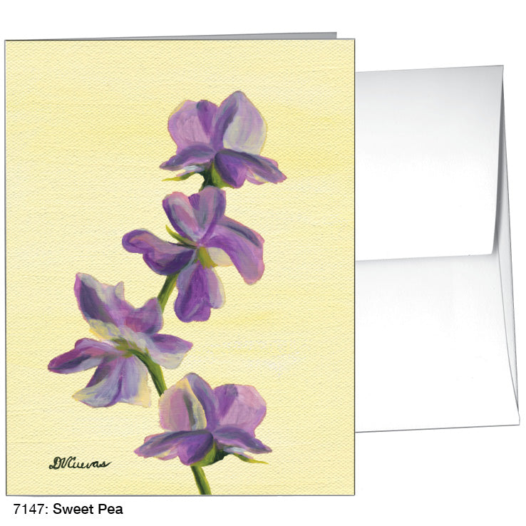 Sweet Pea, Greeting Card (7147A)