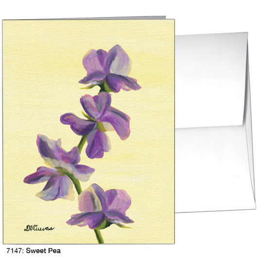 Sweet Pea, Greeting Card (7147A)