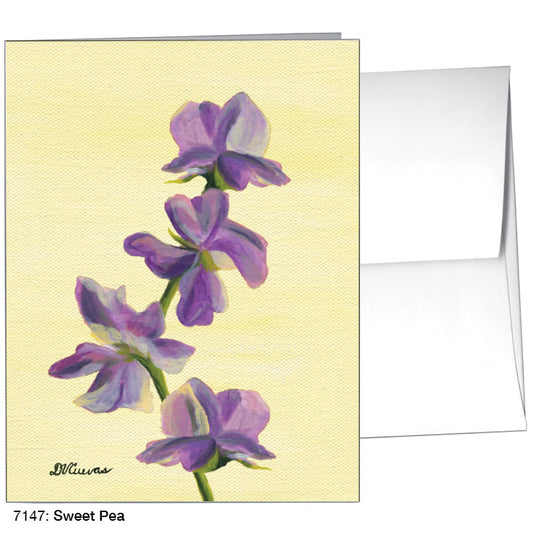 Sweet Pea, Greeting Card (7147A)