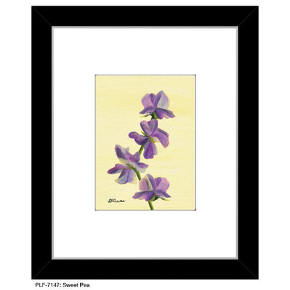 Sweet Pea, Print (#7147A)