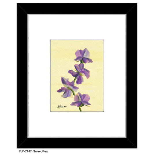 Sweet Pea, Print (#7147A)