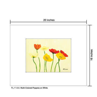 Multi-Colored Poppies on White, Print (#7148A)
