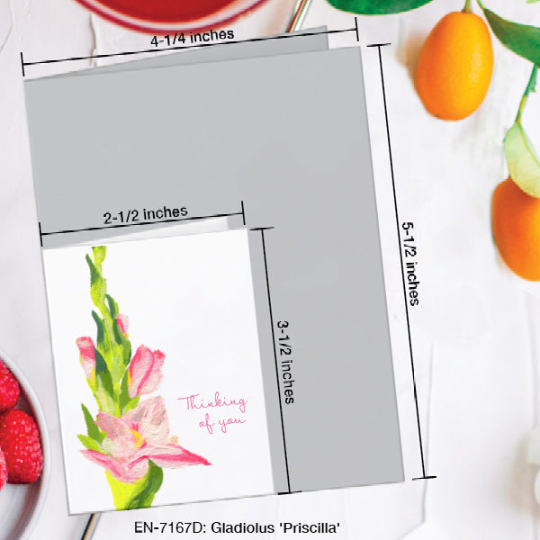 Gladiolus 'Priscilla', Greeting Card (7167D), Enclosure, www.printedcanvas.com