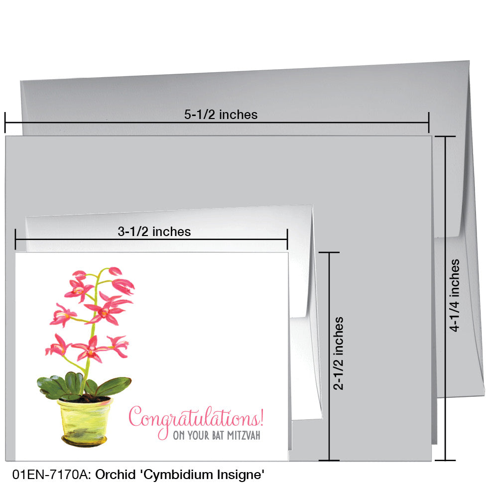 Orchid 'Cymbidium Insigne', Greeting Card (7170A)