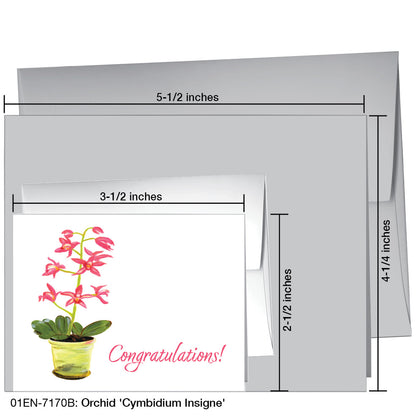 Orchid 'Cymbidium Insigne', Greeting Card (7170B)