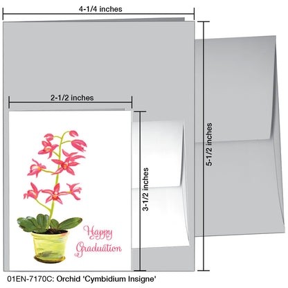 Orchid 'Cymbidium Insigne', Greeting Card (7170C)