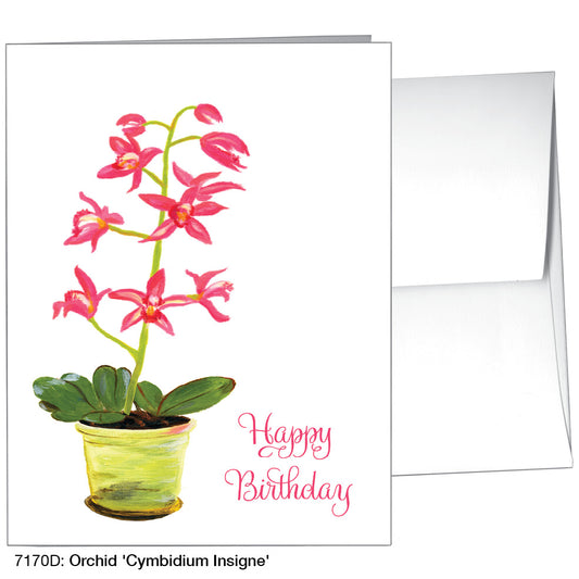 Orchid 'Cymbidium Insigne', Greeting Card (7170D)