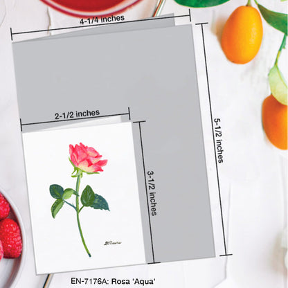 Rosa 'Aqua', Greeting Card (7176A), Enclosure Card, www.printedcanvas.com