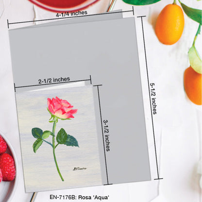Rosa 'Aqua', Greeting Card (7176B), Enclosure Card, www.printedcanvas.com