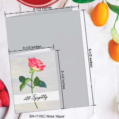 Rosa 'Aqua', Greeting Card (7176C), Enclosure, www.printedcanvas.com