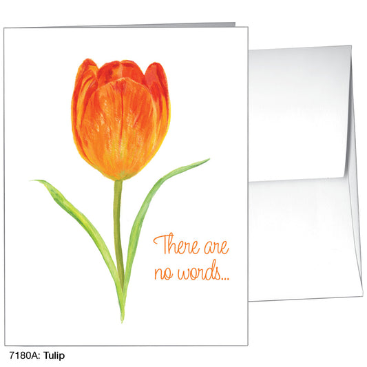 Tulip, Greeting Card (7180A)