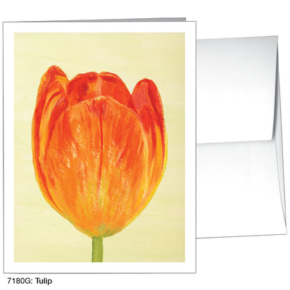 Tulip, Greeting Card (7180G)