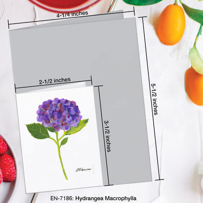 Hydrangea Macrophylla, Greeting Card (7186A), Enclosure Card, www.printedcanvas.com
