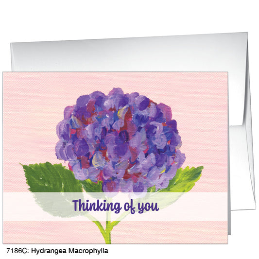 Hydrangea Macrophylla, Greeting Card (7186C), A2, printedcanvas.com