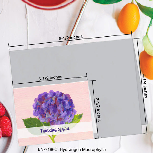 Hydrangea Macrophylla, Greeting Card (7186C), Enclosure, www.printedcanvas.com
