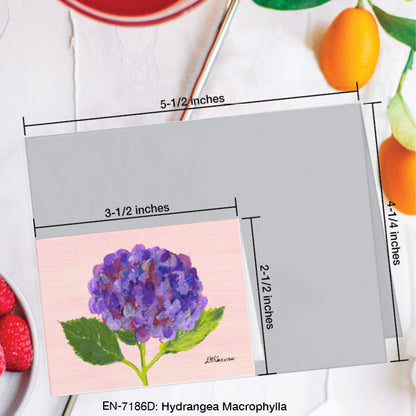 Hydrangea Macrophylla, Greeting Card (#7186D), Enclosure Card, www.printedcanvas.com