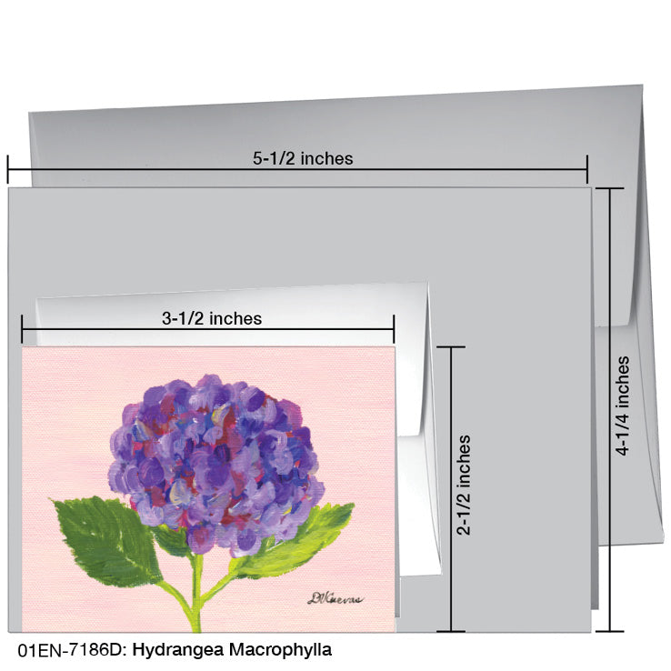 Hydrangea Macrophylla, Greeting Card (#7186D)