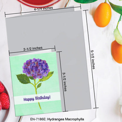 Hydrangea Macrophylla, Greeting Card (7186E), Enclosure, www.printedcanvas.com