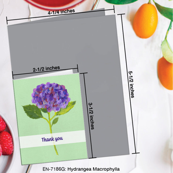Hydrangea Macrophylla, Greeting Card (7186G), Enclosure Card, www.printedcanvas.com