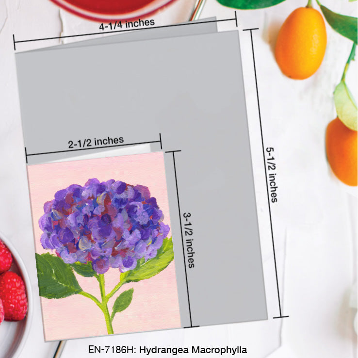 Hydrangea Macrophylla, Greeting Card (7186H), Enclosure Card, www.printedcanvas.com