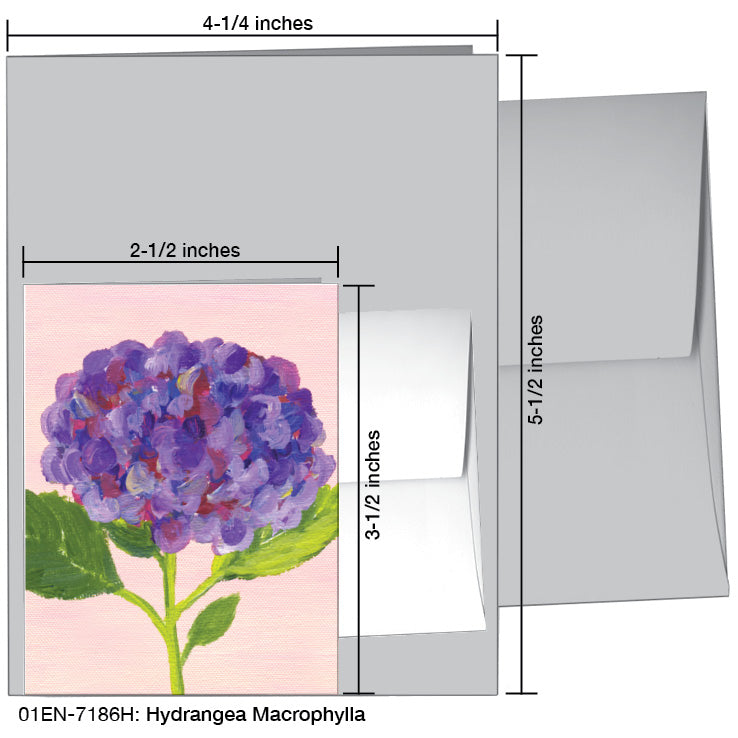 Hydrangea Macrophylla, Greeting Card (7186H), Enclosure Card, www.printedcanvas.com