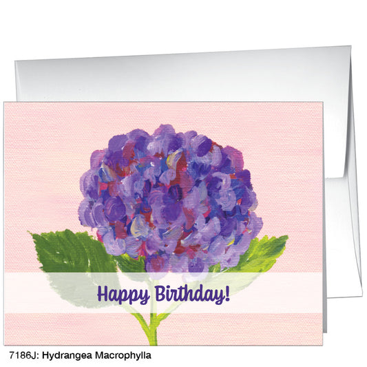 Hydrangea Macrophylla, Greeting Card (7186J), A2 Card, www.printedcanvas.com