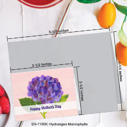 Hydrangea Macrophylla, Greeting Card (7186K), Enclosure, www.printedcanvas.com