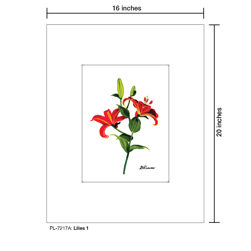 Lilies 1, Print (#7217A)