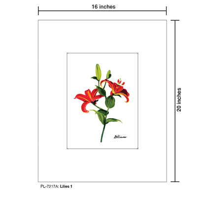 Lilies 1, Print (#7217A)