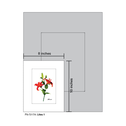 Lilies 1, Print (#7217A)