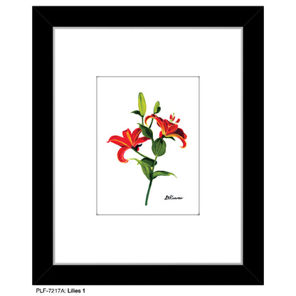 Lilies 1, Print (#7217A)