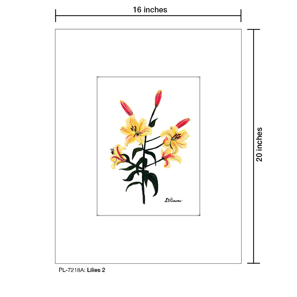Lilies 2, Print (#7218A)