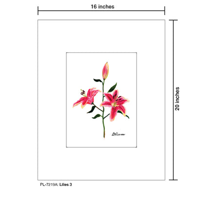 Lilies 3, Print (#7219A)