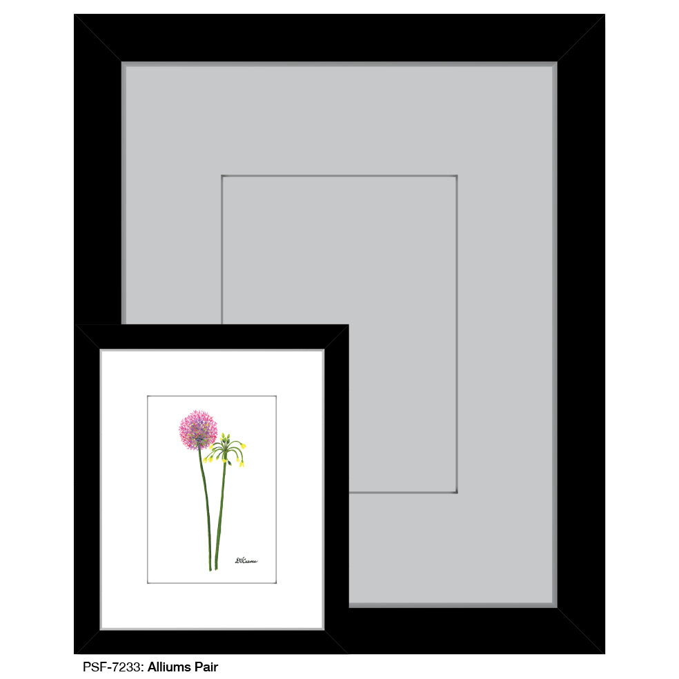 Alliums Pair, Print (#7233)