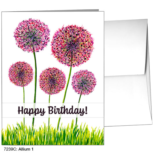 Allium 1, Greeting Card (7239C)