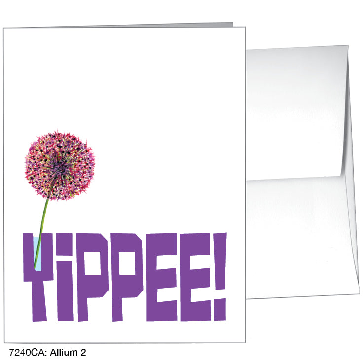 Allium 2, Greeting Card (#7240CA)