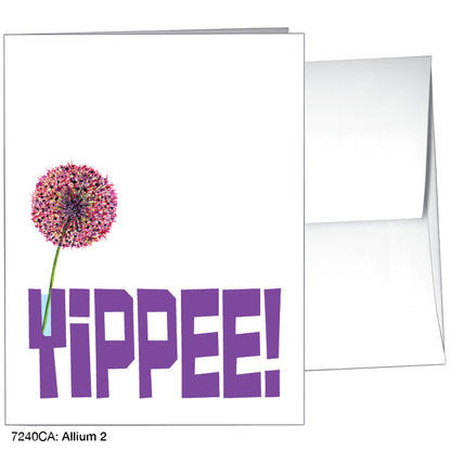 Allium 2, Greeting Card (#7240CA)