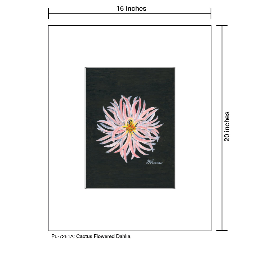 Cactus Flowered Dahlia, Print (#7261A)