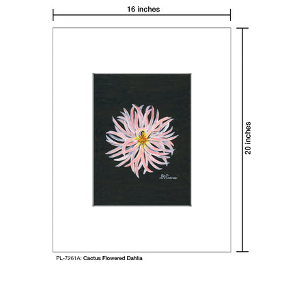 Cactus Flowered Dahlia, Print (#7261A)