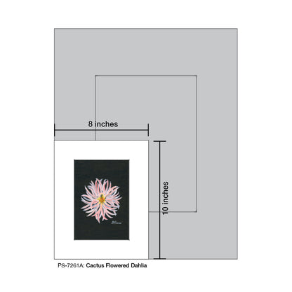 Cactus Flowered Dahlia, Print (#7261A)