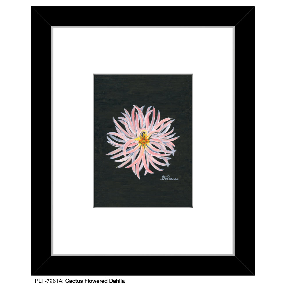 Cactus Flowered Dahlia, Print (#7261A)
