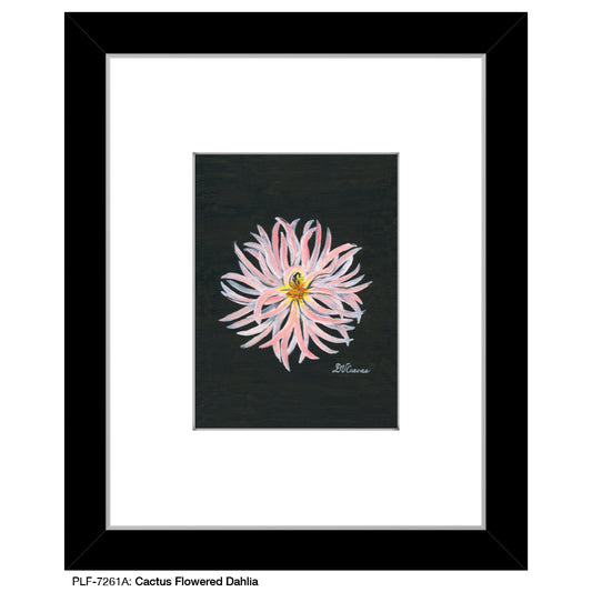 Cactus Flowered Dahlia, Print (#7261A)